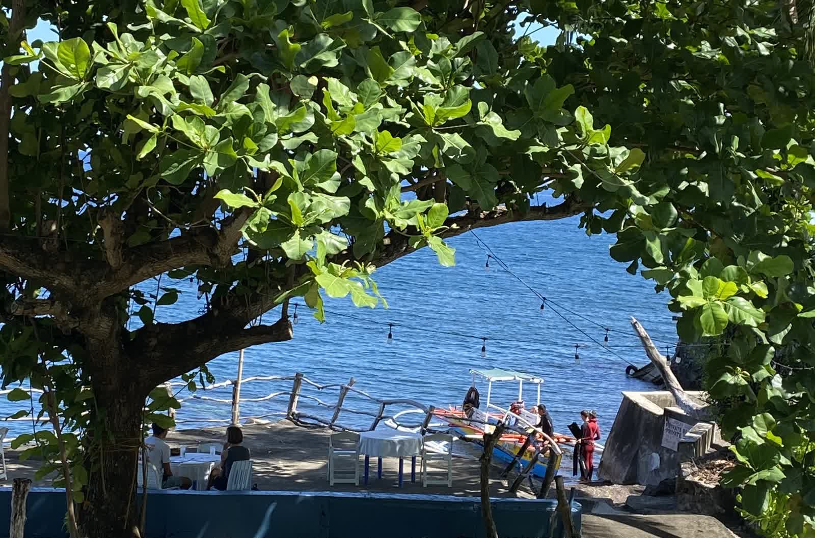 Malambo lodge beneath the trees by the sea